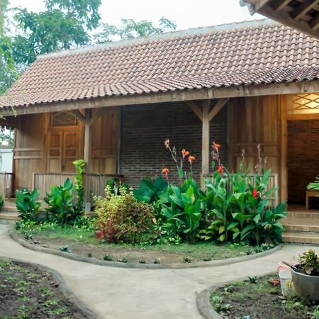 Pinarak Homestay Баньювангі Екстер'єр фото